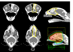 Radiografias de Kitton