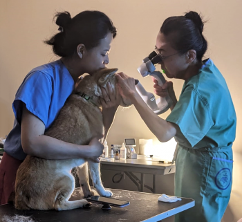 Eye Exam Being Conducted