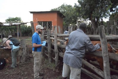 Tick Collecting