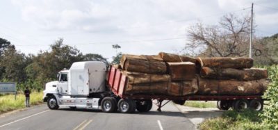 Truck In Road