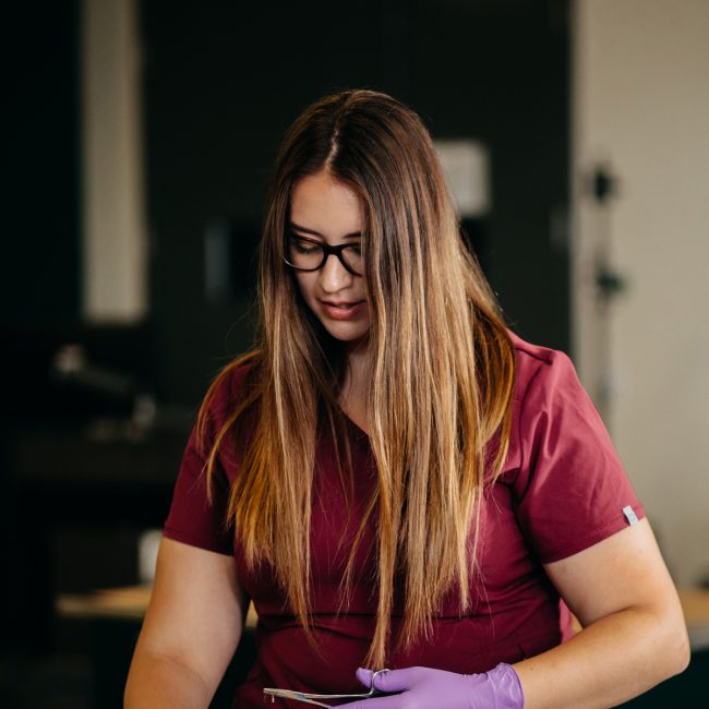 Veterinary Student Student Veterinarian at MSU Small Animal
