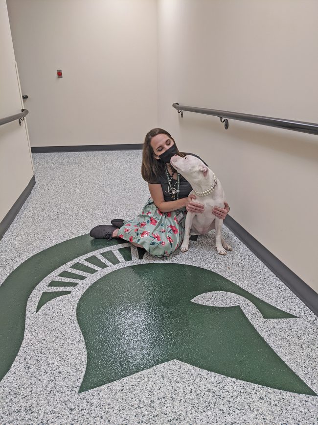 Thanks To Msu Veterinarians The Beat Goes On For Long Time Four Legged Spartan College Of Veterinary Medicine At Msu