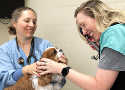 Happy Nurses