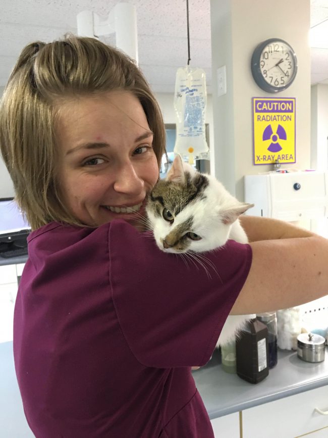 A Message to the Veterinary Classes College of Veterinary Medicine at MSU