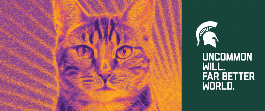 Cat Banner 1 1