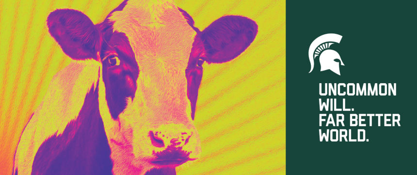 Cow Banner 1