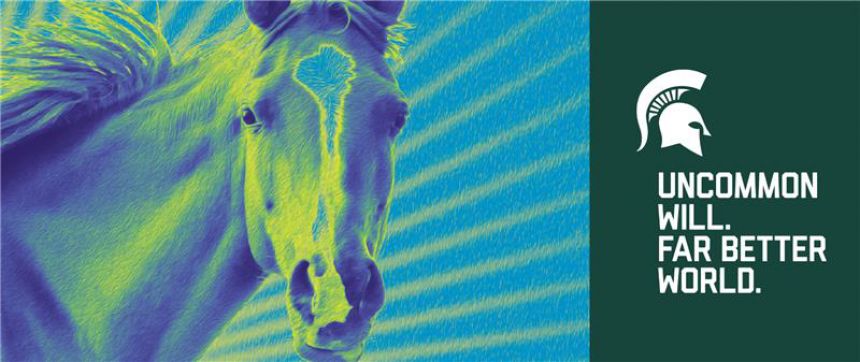 Horse Banner 1
