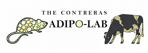 Contreras Adipo Lab Logo Design