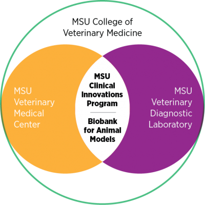 Clip Venn Diagram