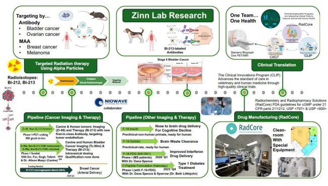 Zinn Lab | College of Veterinary Medicine at MSU