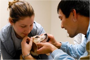 students with dog