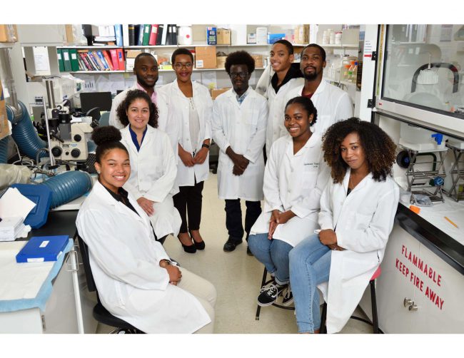 Get Involved as a Prevet Student | College of Veterinary Medicine at MSU