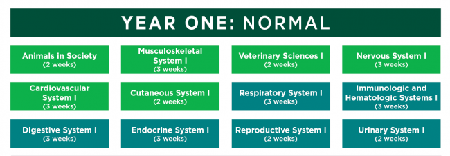 Uf Vet Med Curriculum Map Dvm Year 1 Curriculum | College Of Veterinary Medicine At Msu