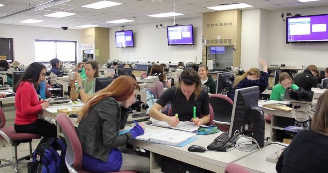 First-Year Features: Tests | College of Veterinary Medicine at MSU 