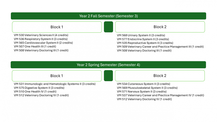 Year 2 Curriculum