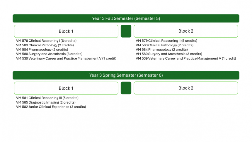 Year 3 Curriculum