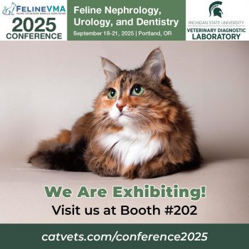 2025 Feline Vma Annual Conference Social Media Image 1080X1080Px