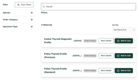 Catalog View