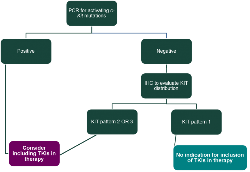 Considerations For Inclusion Of Tyrosine Kinase Inhibitors Tkis In Dogs Being Treated Systemically For A Cutaneous Mast Cell Tumor