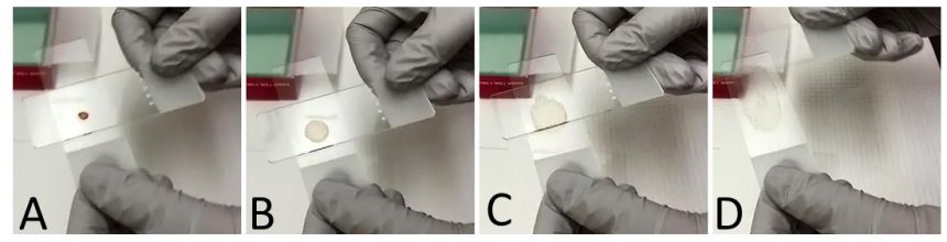 Figure 2 Cyto Tidbits