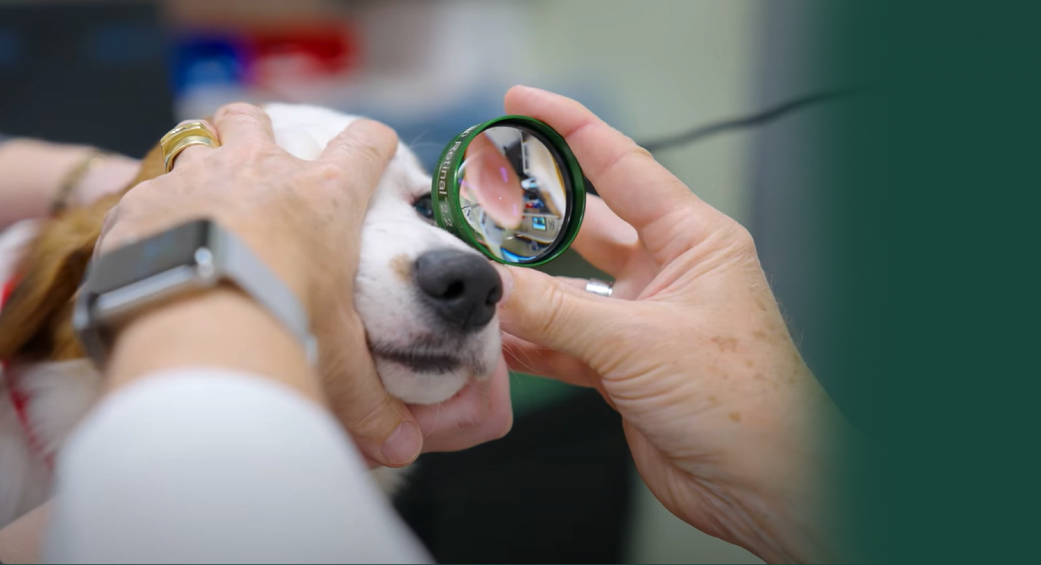 Ike With Lacey Holsworth