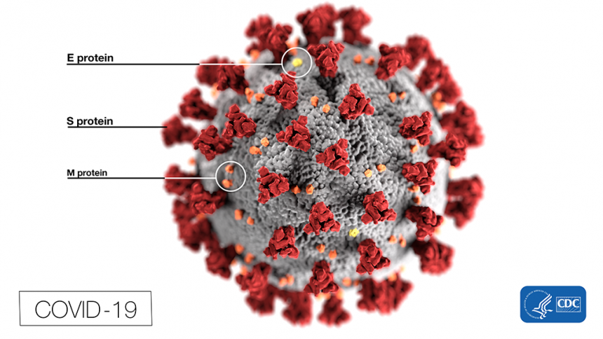 Covid 19 Ultrastructural Morphology Cdc Alissa Eckert Ms Dan Higgins Mam Low Res