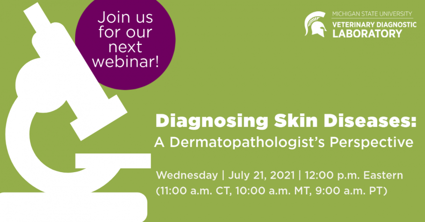 Derm Webinar