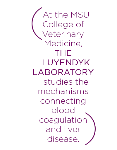 L Lab Graphic