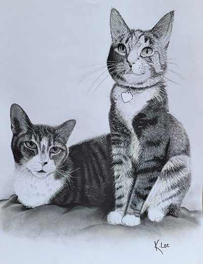 Portrait of two cats.