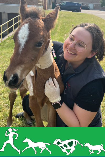 Dr. Bookbinder with a foal.