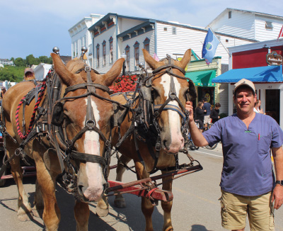 Carriage Horse working on Mackinac Island.