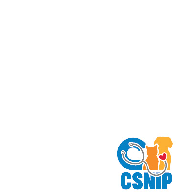 C-SNIP