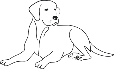 Outline drawing of a labrador. 