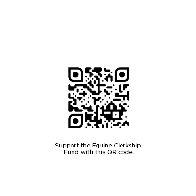 Equine Clerkship QR Code