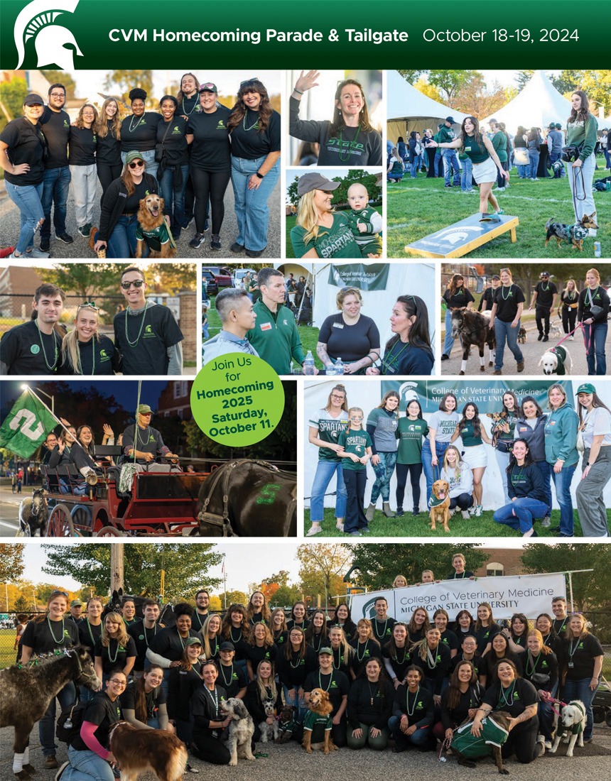 Alumni and friends of the College of Veterinary Medicine gathered for the annual Homecoming Tailgate on Saturday, September 23, 2023. Interim Dean Freeman addressed the group to share a few updates, and everyone enjoyed the beautiful weather and great food. 
