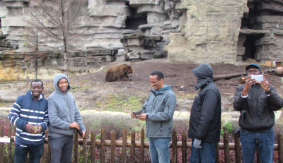Visiting junior faculty from several African universities visit grizzly bears at the Detroit Zoo.
