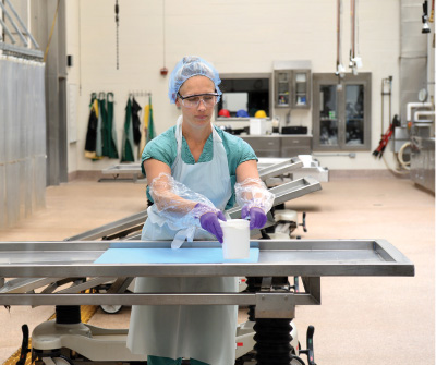 Preparing a necropsy table. 