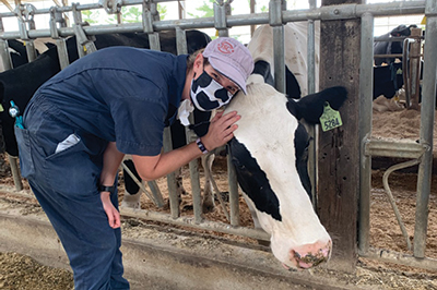 Rottenburg posing with cow in barn