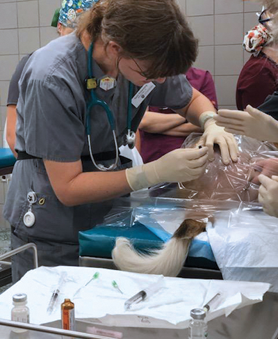 Rottenburg doing a lab in class. 