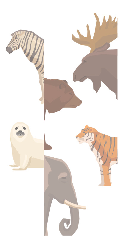 illustrations of zebra, otter, tiger, elephant, bear, and elk. 