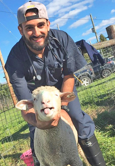 Andrew with sheep