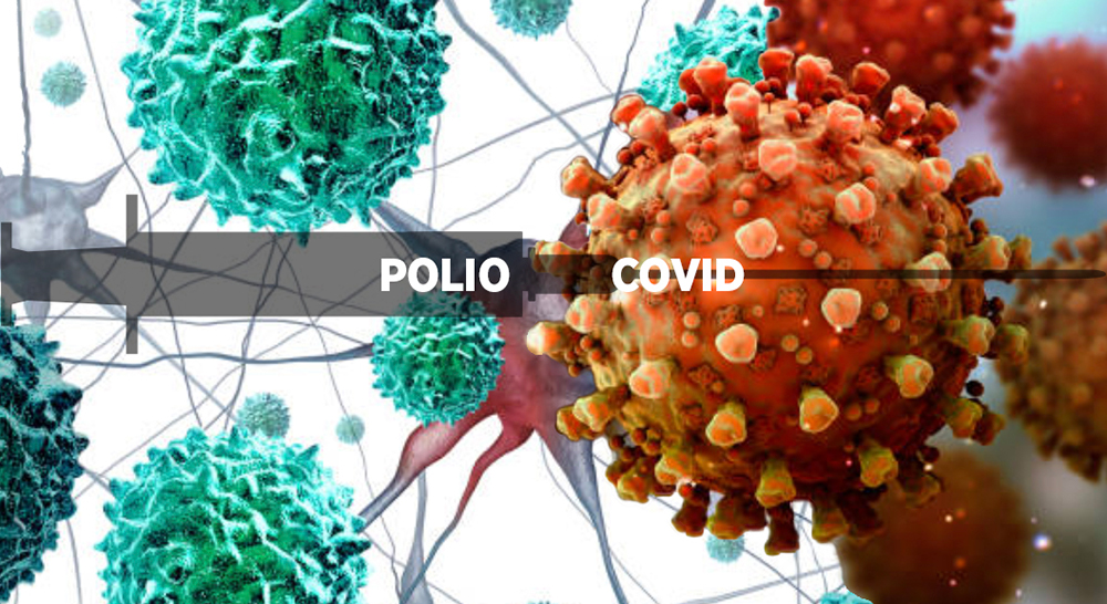 Then And Now: Polio And COVID-19College Of Veterinary Medicine At MSU