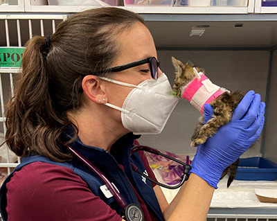 Michelle getting kitten kisses in the CCU