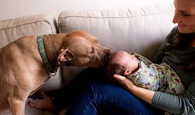 Turk, our 8 year-old pit bull, welcoming his baby sister