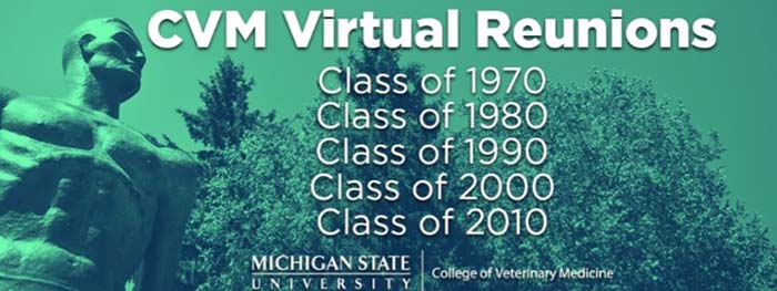 Virtual Reunions list